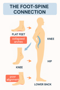  Diagram explaining the foot-spine connection, showing how flat feet and poor alignment affect the knees, hips, and lower back.